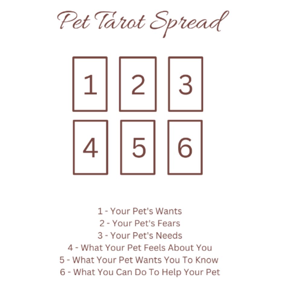 Pet Tarot Spread Layout
