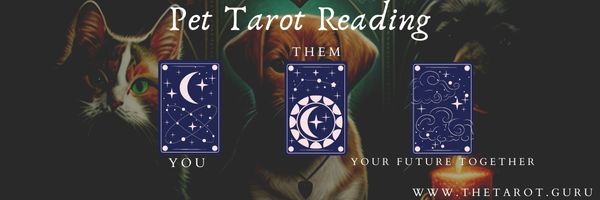 Three-Card Pet Love Tarot Reading